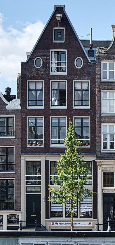 Cropped image in Python Pillow tutorial