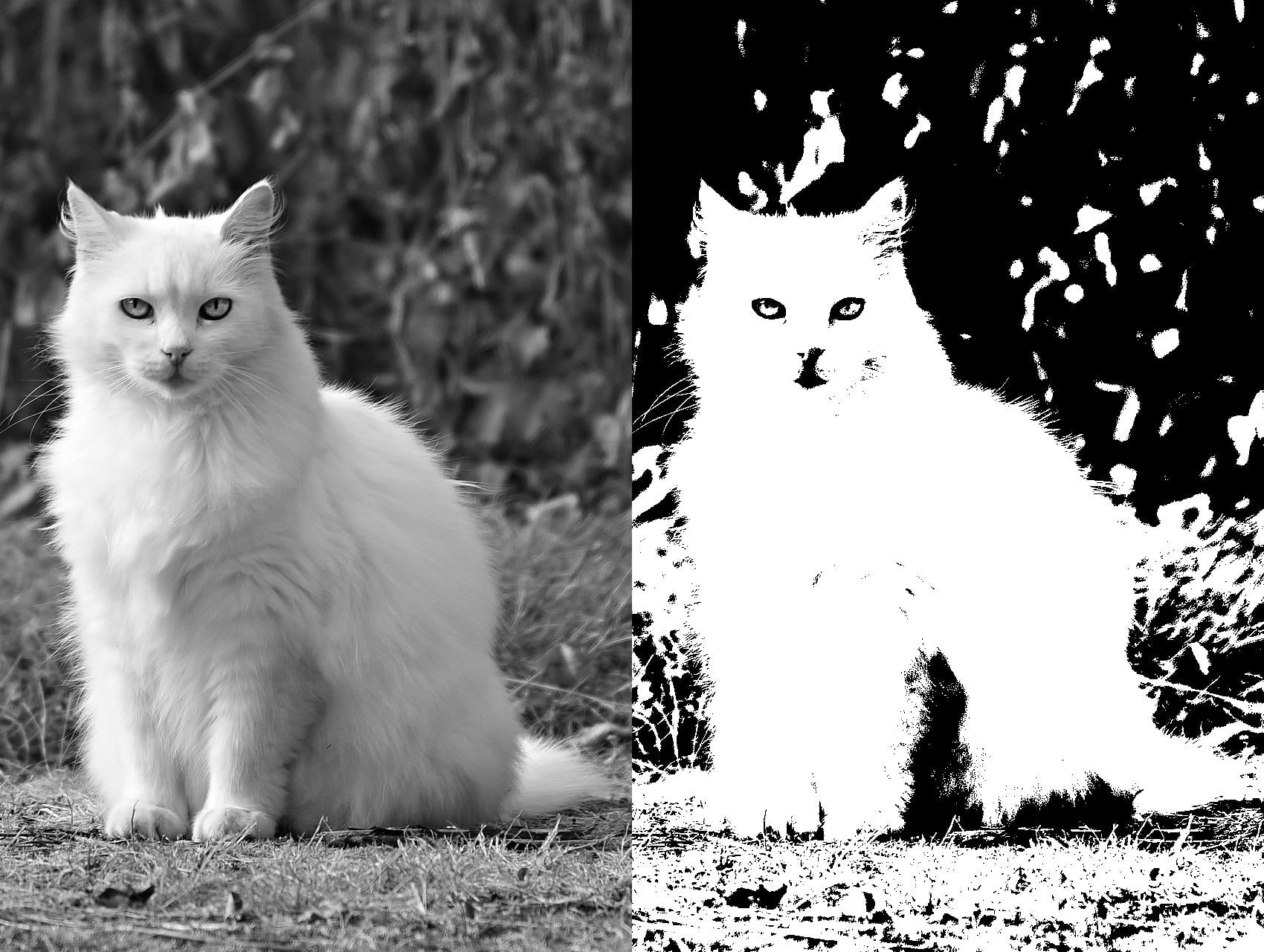 Thresholding in Python Pillow