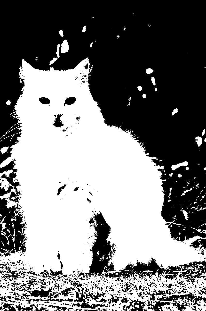 Improved thresholding for cat image in Python Pillow tutorial