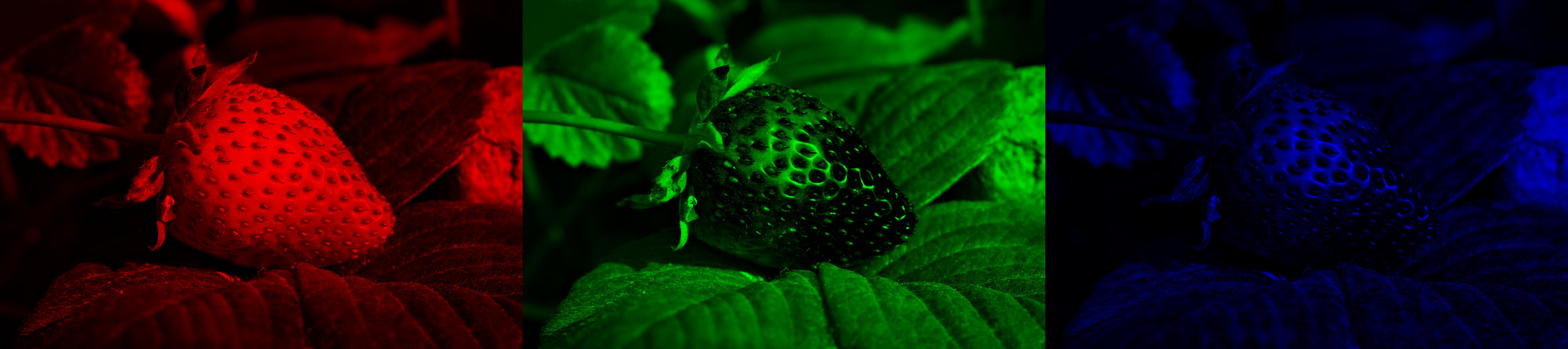 Strawberry image separate channels for Python Pillow tutorial