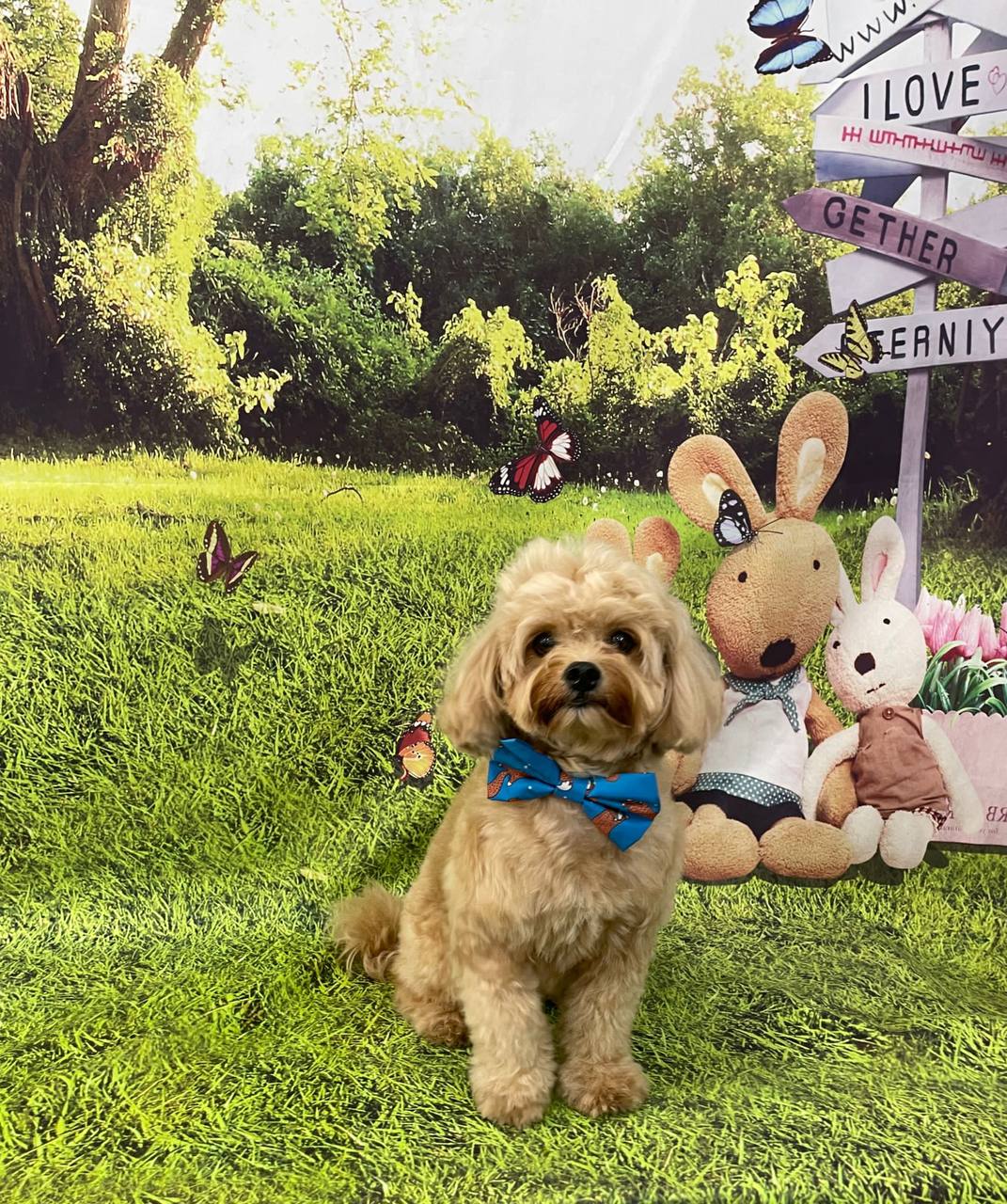 my little inspiration