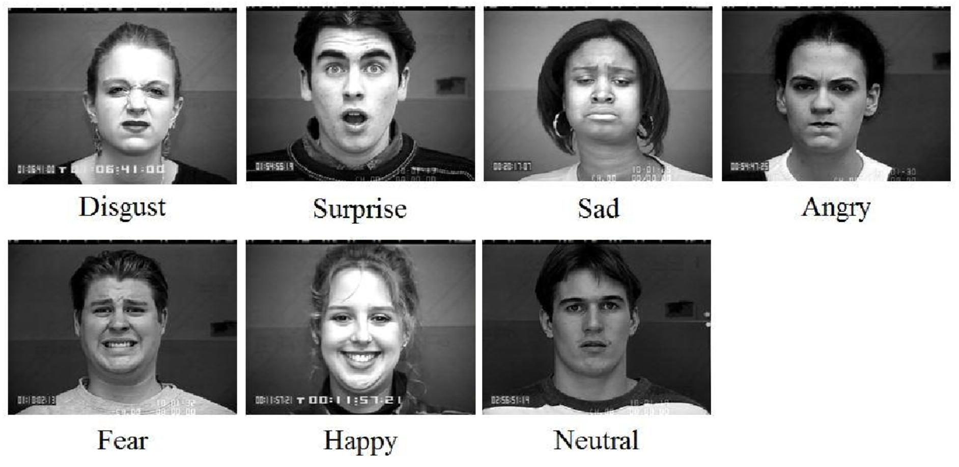 Labeled Facial Expression Images Labeled FER Images