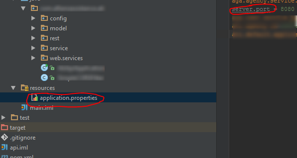 application.properties file